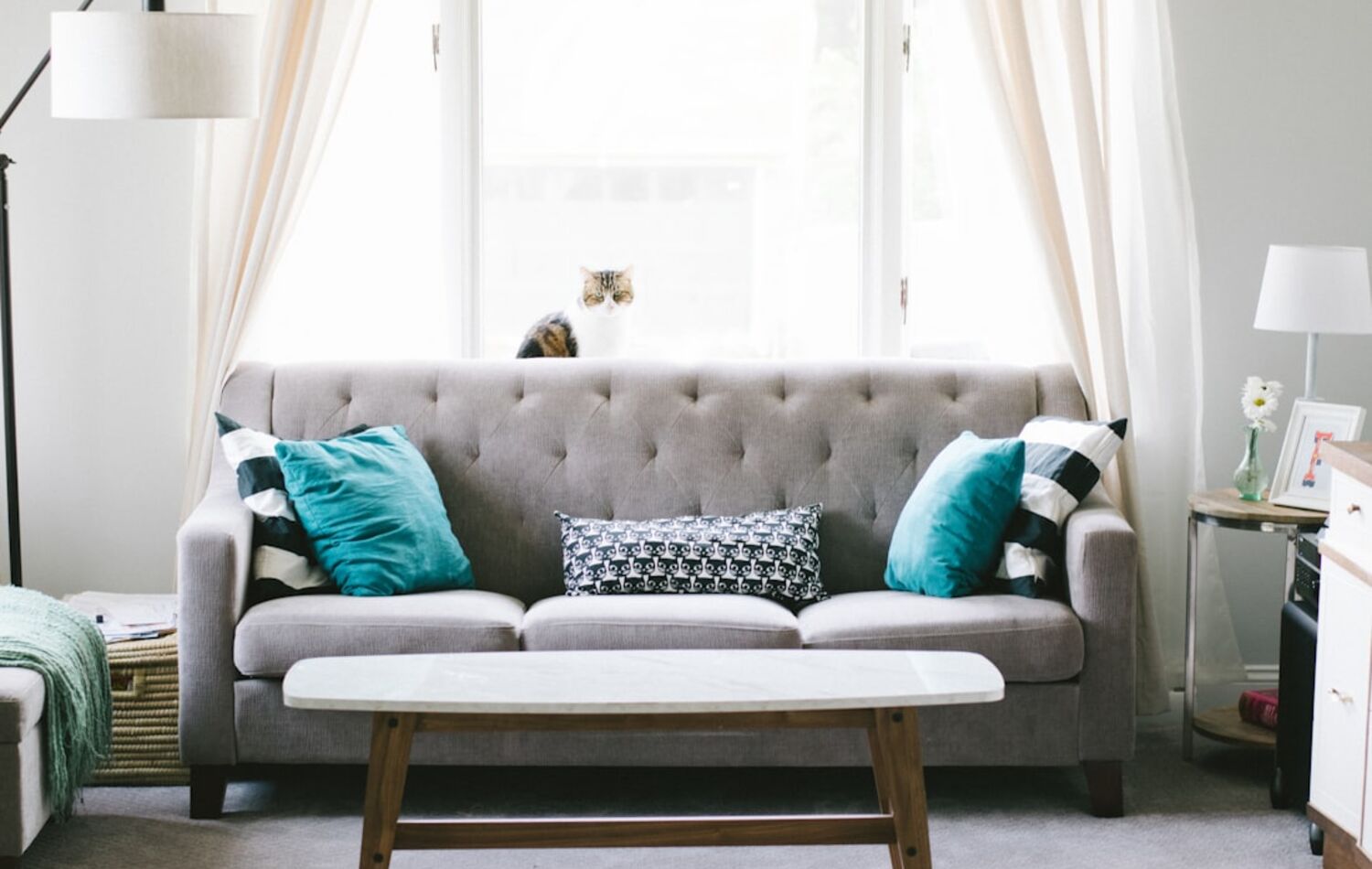 Shop the room